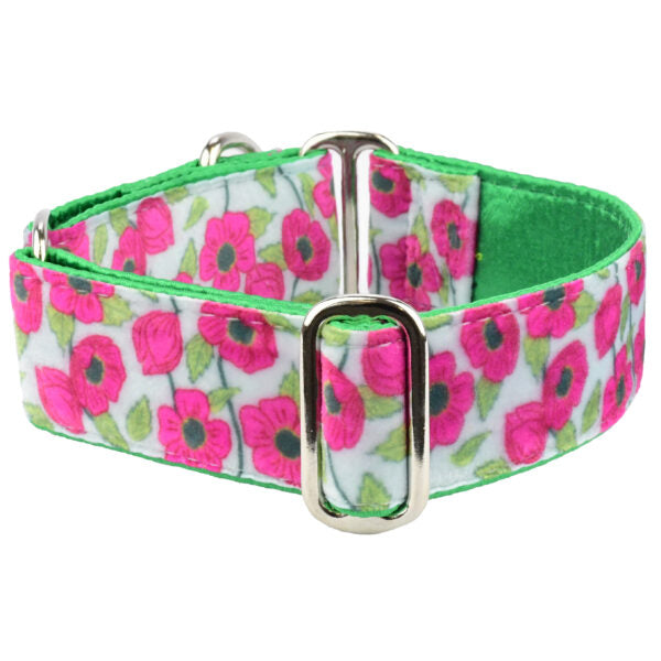 Bold Poppies Elite Velvet Martingale Dog Collar by 2 Hounds Design
