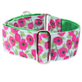 Bold Poppies Elite Velvet Dog Collar by 2 Hounds Design