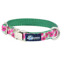Bold Poppies Velvet Essential Dog Collar by 2 Hounds Design