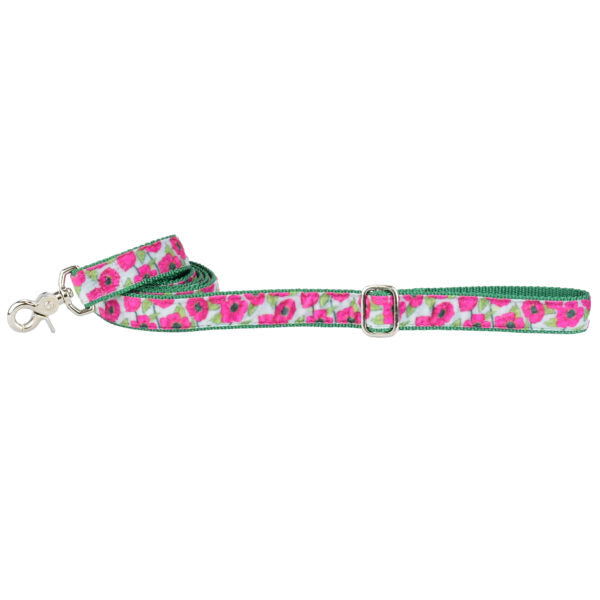 Bold Poppies Velvet Dog Leash by 2 Hounds Design