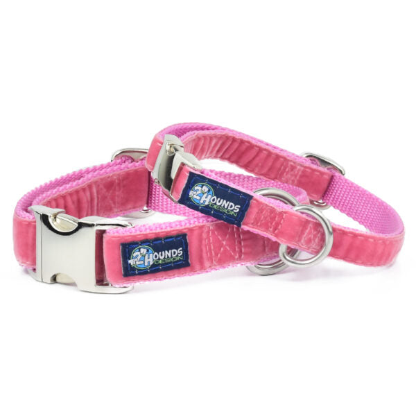Rose Pink Velvet Essential Buckle Martingale Dog Collar by 2 Hounds Design