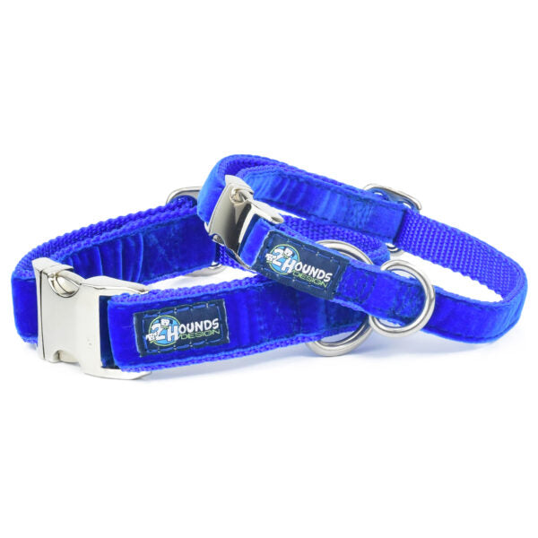 Royal Blue Velvet Essential Dog Collar by 2 Hounds Design