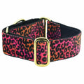 Wild Kitty Pink Elite Velvet Martingale Dog Collar by 2 Hounds Design