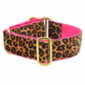 Soft Kitty Elite Velvet Dog Collar (Multiple Lining Color Options) by 2 Hounds Design