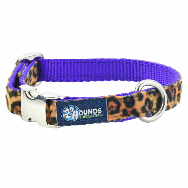 Soft Kitty Velvet Essential Martingale Dog Collar (Multiple Webbing Color Options) by 2 Hounds Design