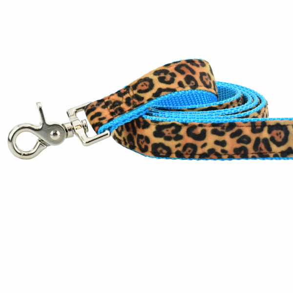 Soft Kitty Velvet Dog Leash (Multiple Webbing Color Options) by 2 Hounds Design