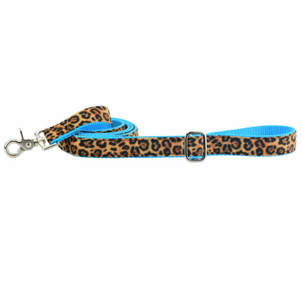 Soft Kitty Velvet Dog Leash (Multiple Webbing Color Options) by 2 Hounds Design