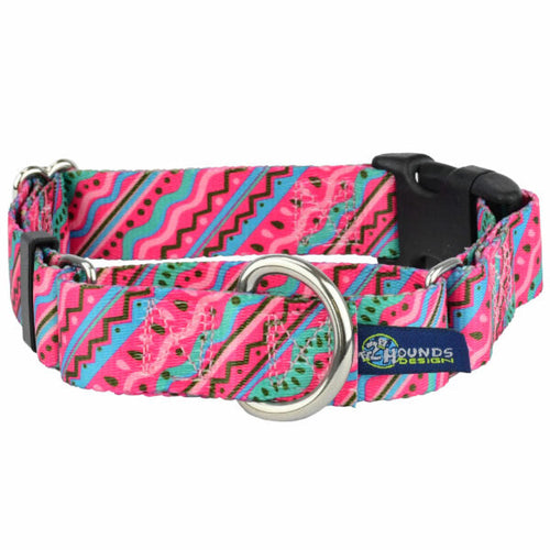 1980’s Buckle Martingale Dog Collar – EarthStyle by 2 Hounds Design