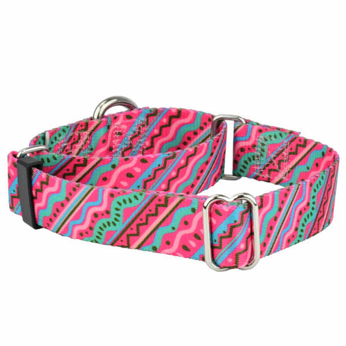 1980’s Martingale Dog Collar – EarthStyle by 2 Hounds Design