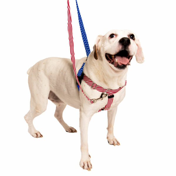 Star Spangled Freedom No-Pull Dog Harness – EarthStyle by 2 Hounds Design