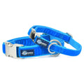 Venetian Blue Velvet Essential Dog Collar by 2 Hounds Design