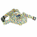 Indy Flag Martingale Dog Collar – EarthStyle by 2 Hounds Design