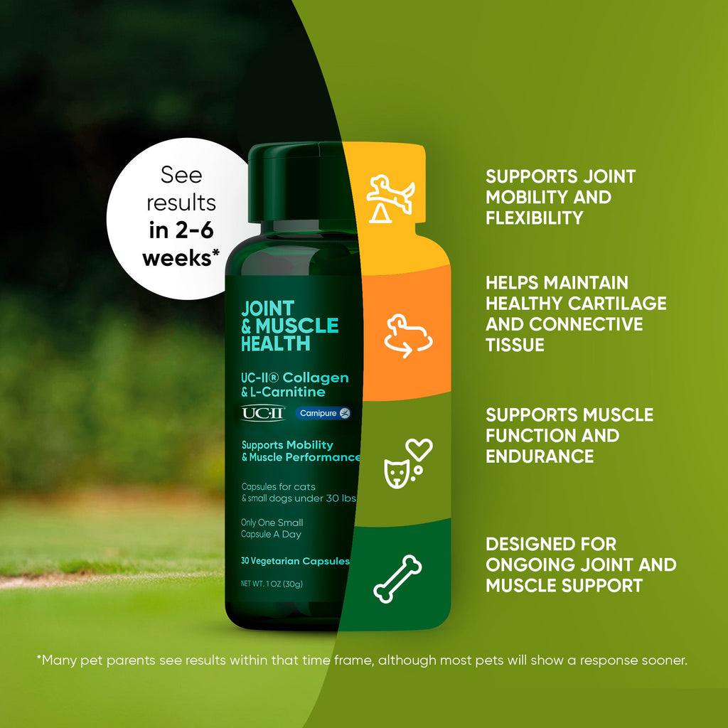 Joint & Muscle Health (Cats & Small Dogs) by Rooted Owl Pet Supplements