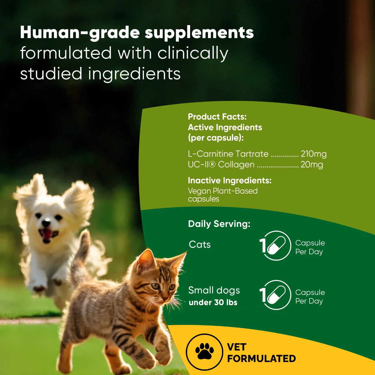 Joint & Muscle Health by Rooted Owl Pet Supplements