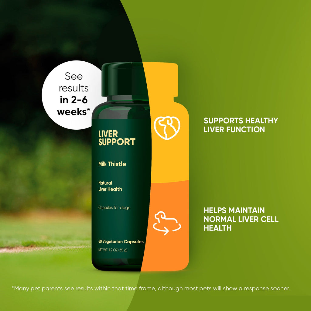 Liver Support by Rooted Owl Pet Supplements