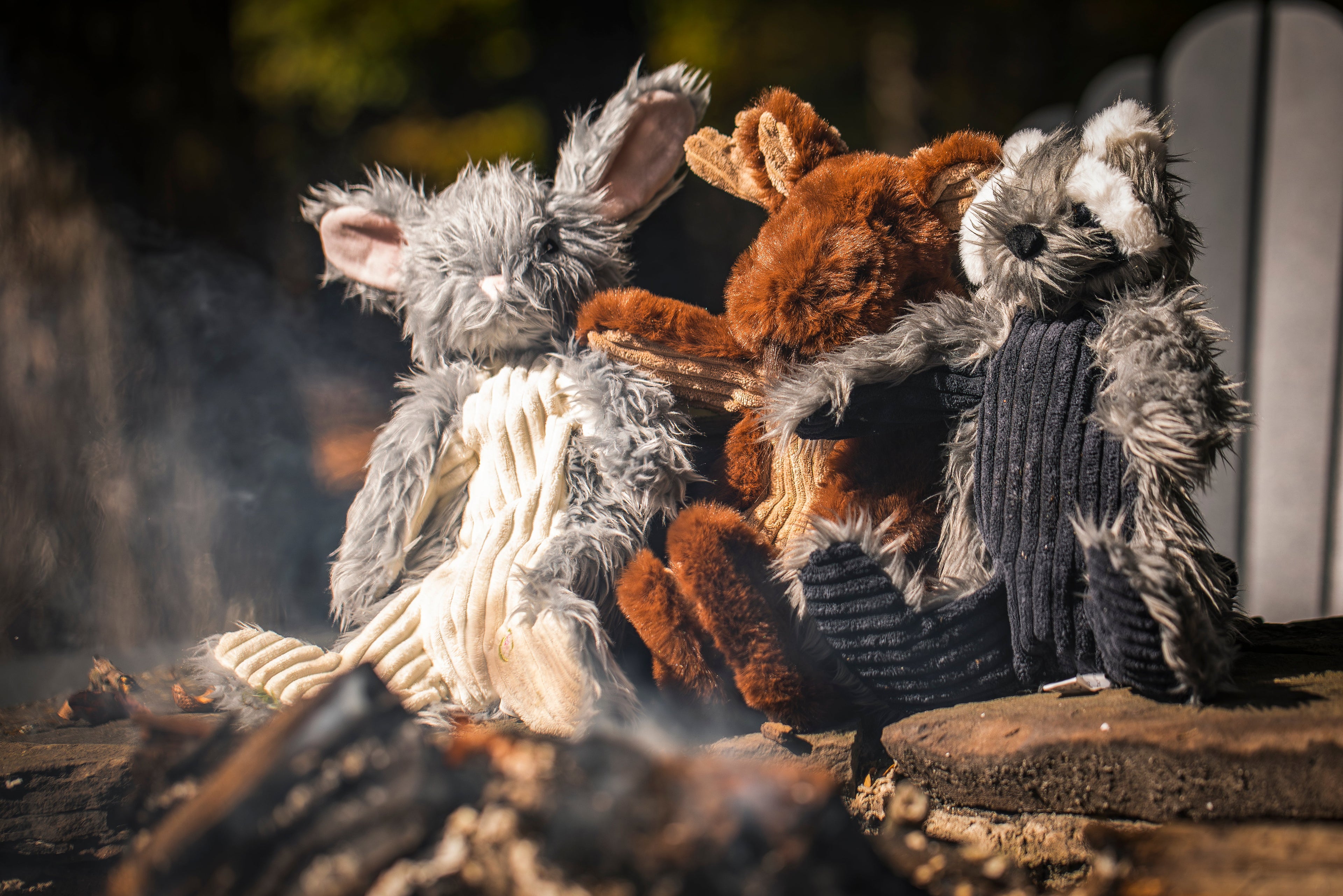 Redwood Raccoon X-Brace™ Plush Dog Toy by HuggleHounds