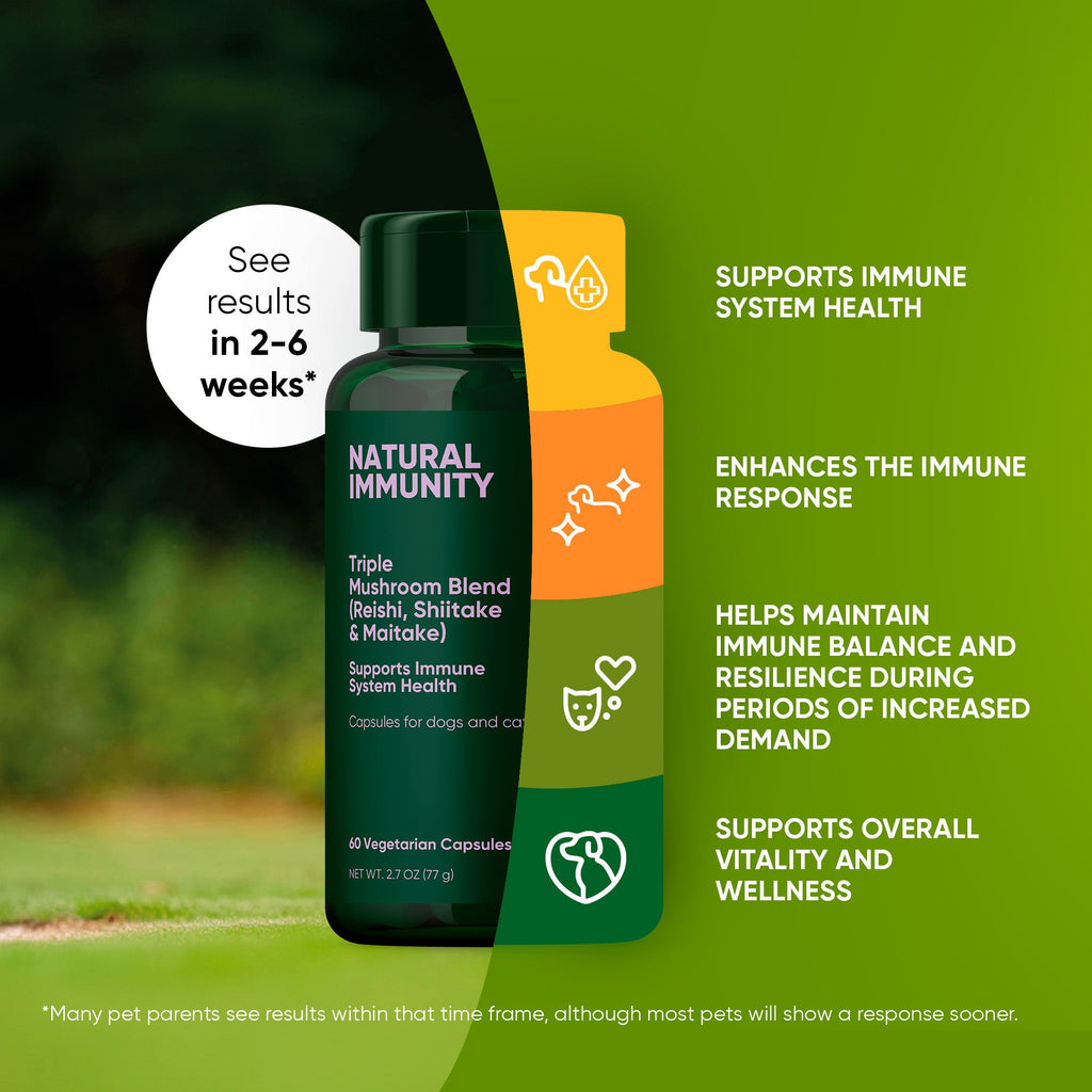 Natural Immunity by Rooted Owl Pet Supplements
