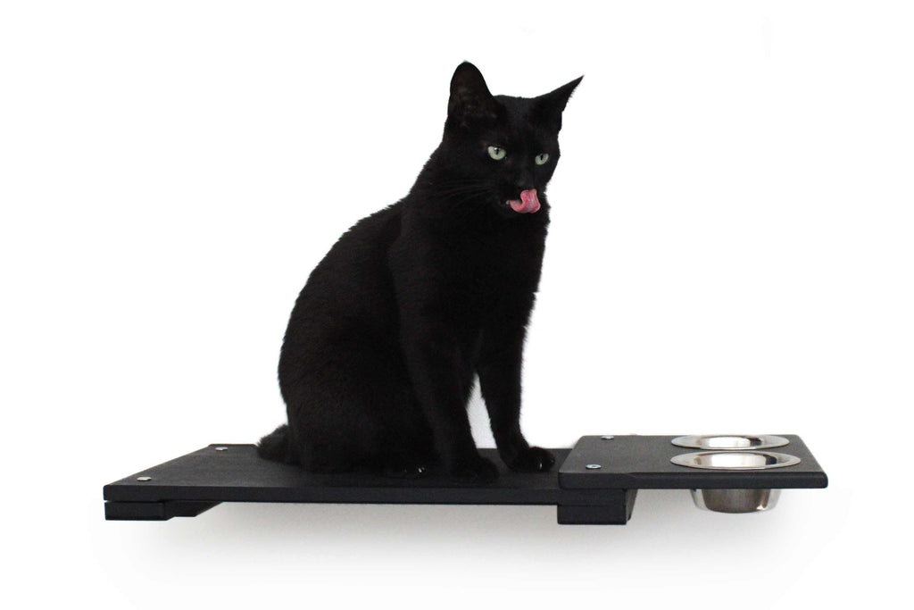 Wall Mounted Cat Feeding Shelf by Catastrophic Creations