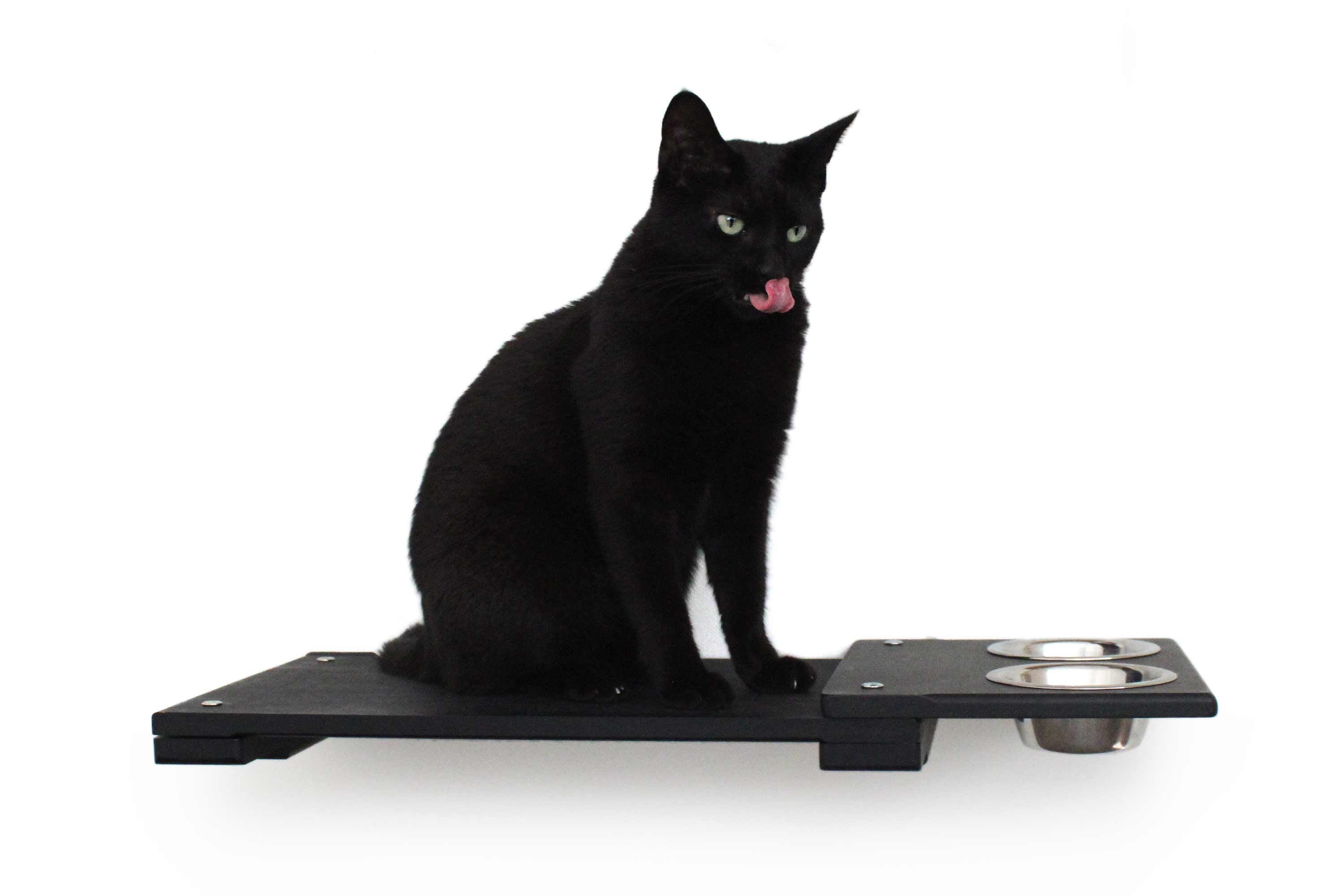 Wall Mounted Cat Feeding Shelf by Catastrophic Creations