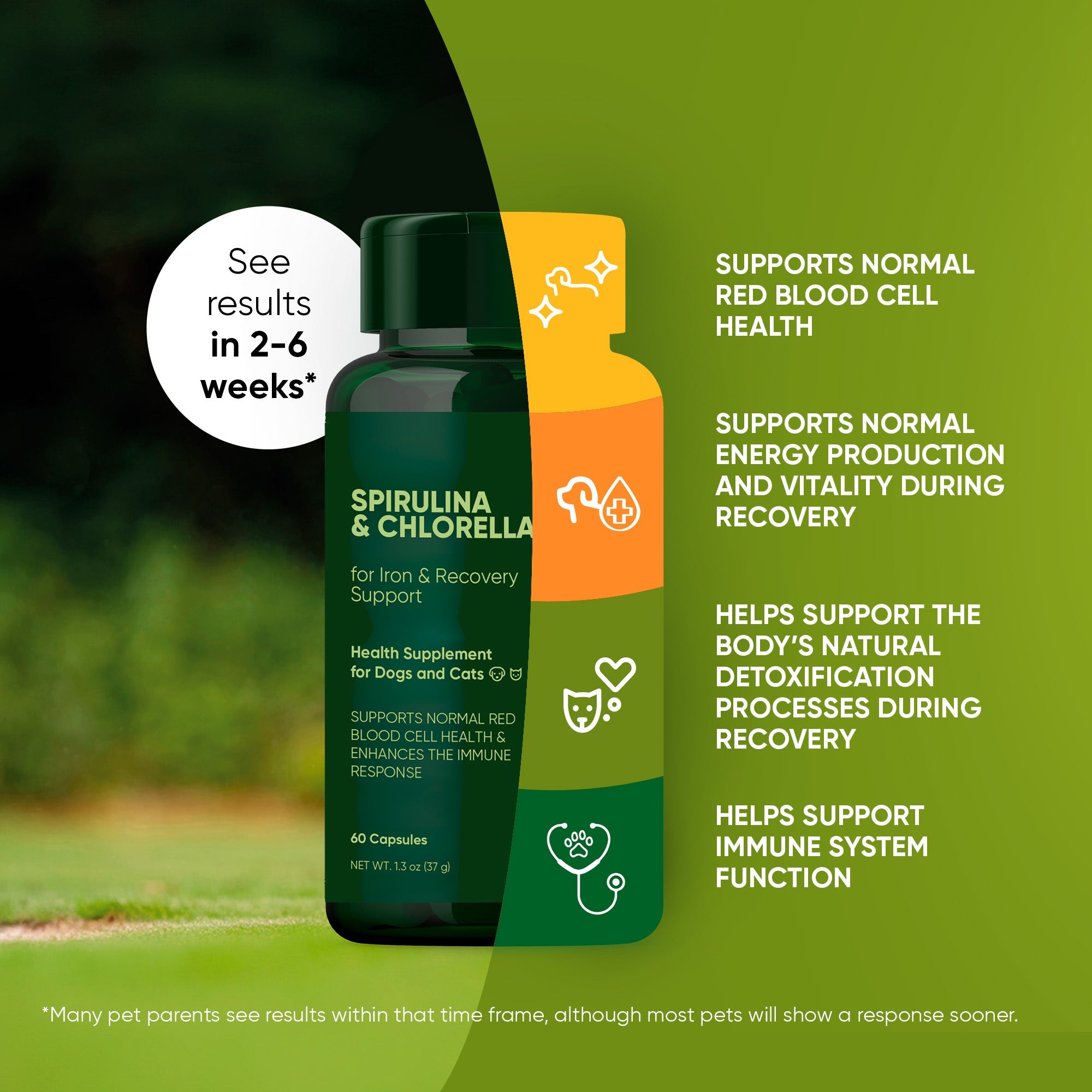 Spirulina & Chlorella by Rooted Owl Pet Supplements