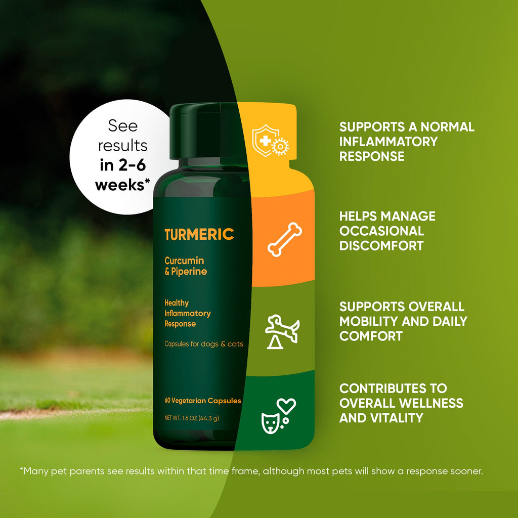 Turmeric by Rooted Owl Pet Supplements
