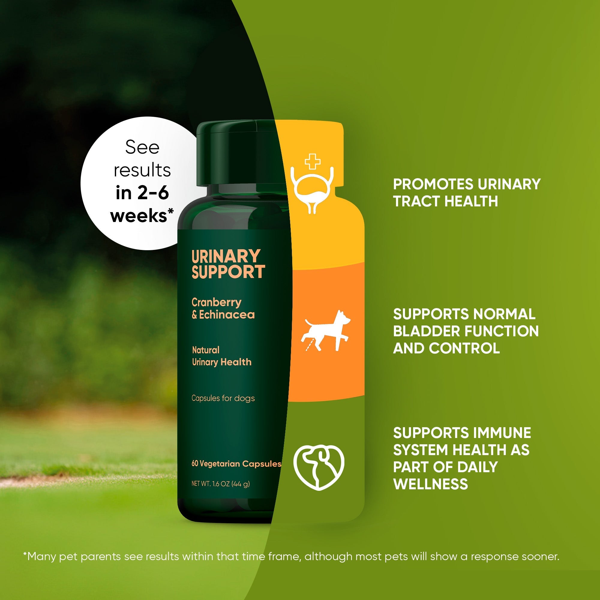 Urinary Support by Rooted Owl Pet Supplements