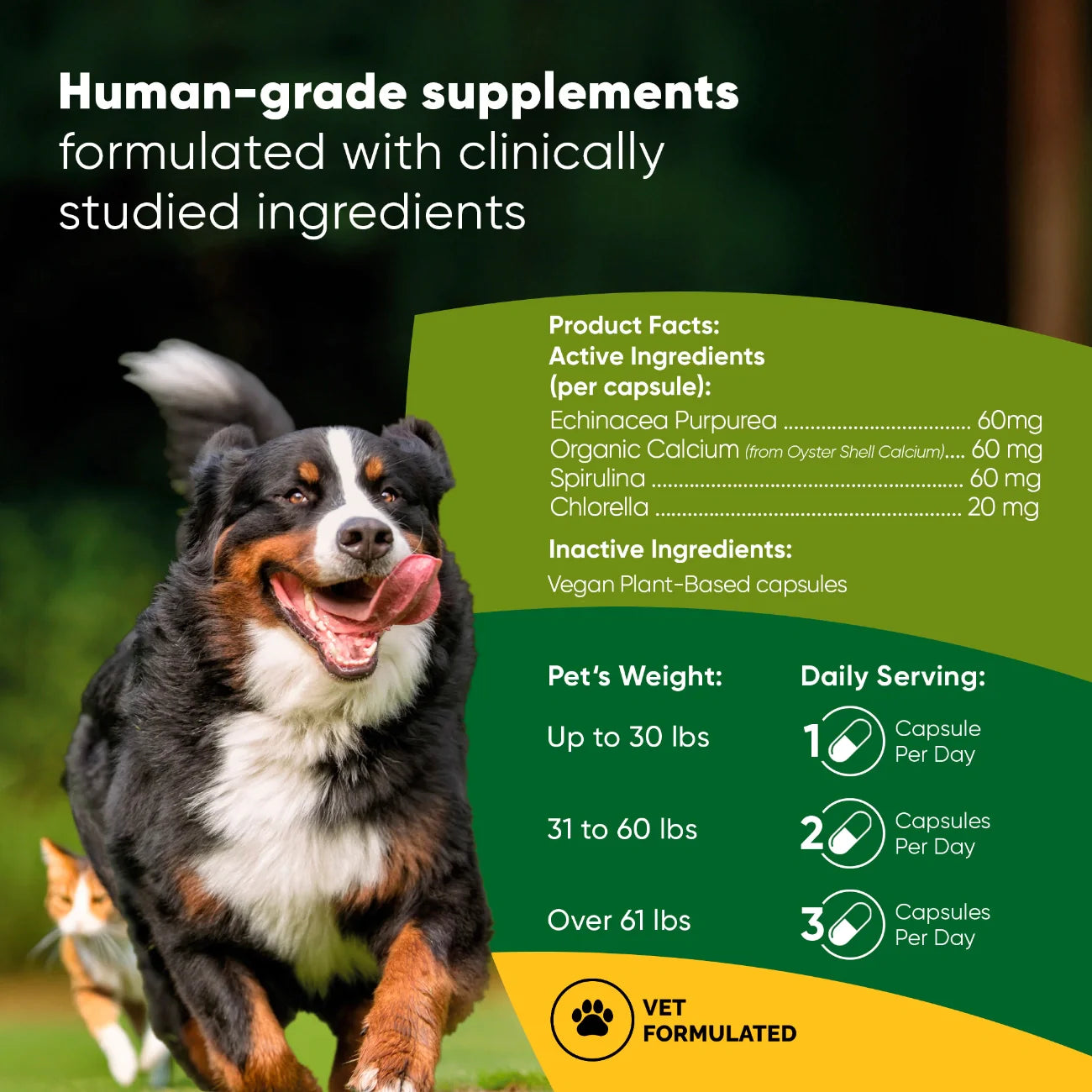 Spirulina & Chlorella by Rooted Owl Pet Supplements