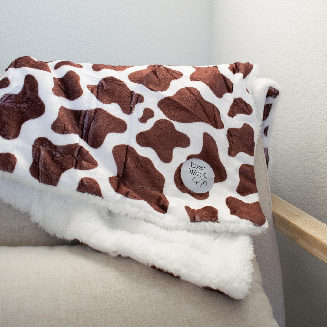 Chocolate Cow Dog Blanket by EverWoof