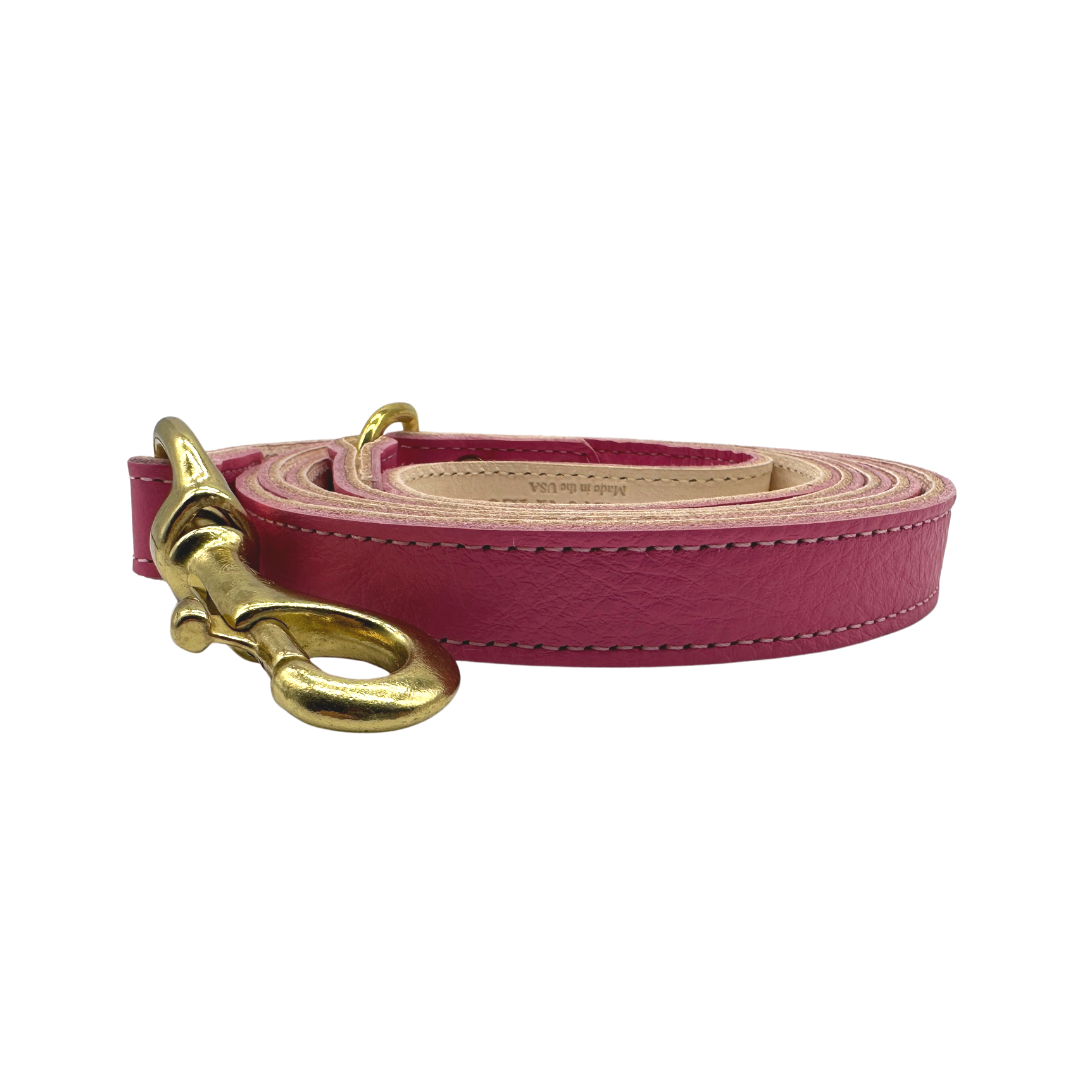 Plain Leather Dog Leashes by Bonne et Filou