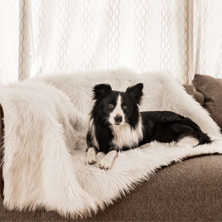 PupProtector™ Waterproof Throw Blanket - Polar White by Paw.com