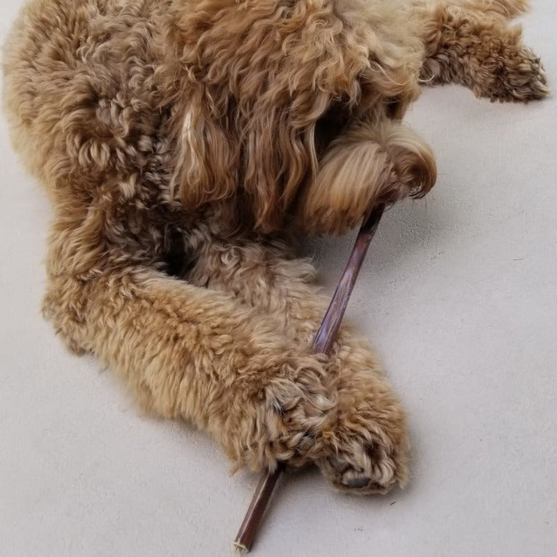 12 Inch Beef Jerky Stick by Bully Bunches