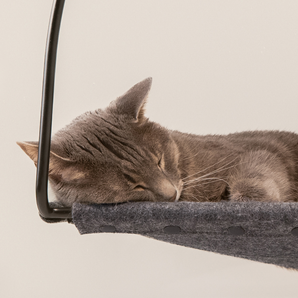 Cloud Nine Window Hammock by tuft + paw
