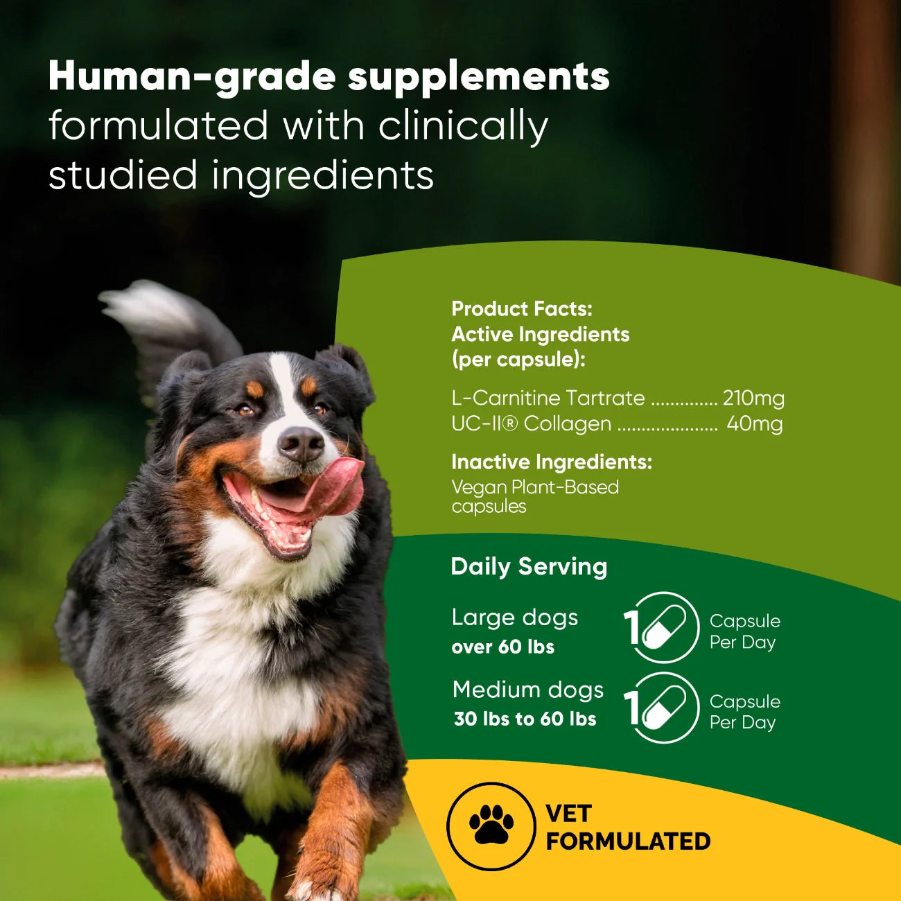 Joint & Muscle Health by Rooted Owl Pet Supplements