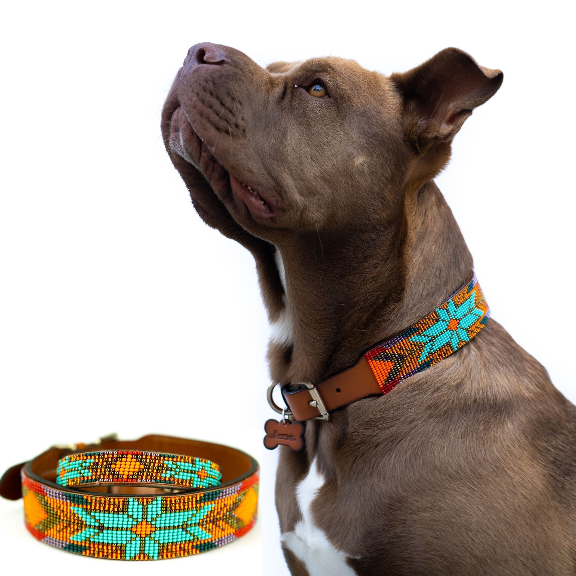 Sardinia Sambboho dog collar (Glam Collection) by Sambboho