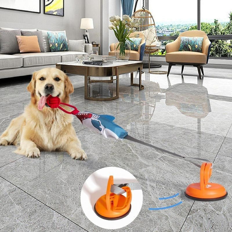 PROKEl Shark Shaped Pet Toy, With Suction Cup, Pet Chew Toy for Dogs & Cats by VetsPetStore