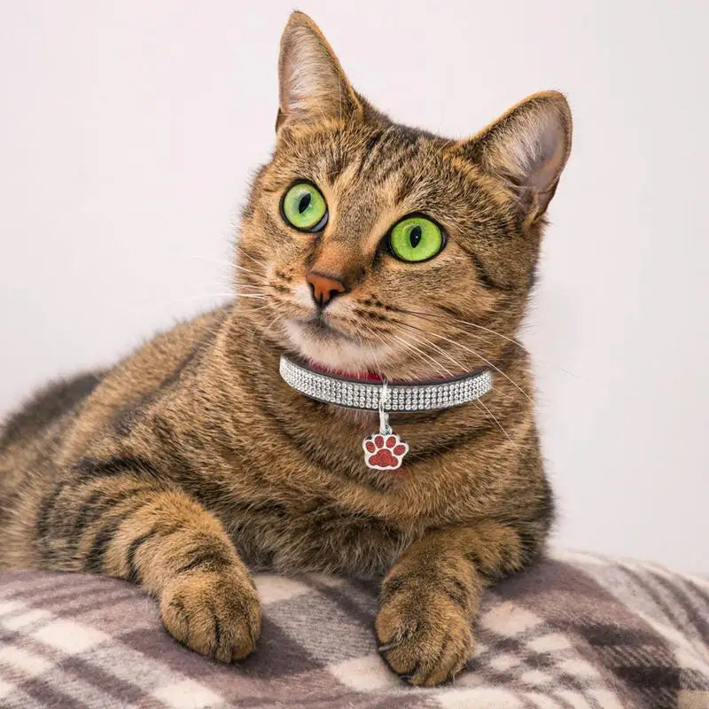 Sparkling Pet Collars With Paw Print Tag by Love My Pet