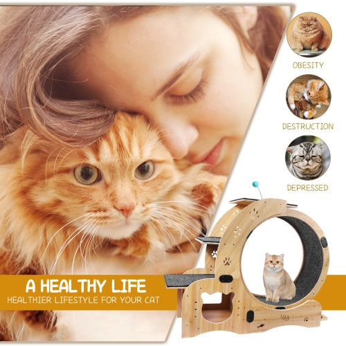 Cat Wheel 6-in-1 Cat Fitness Wheel by Love My Pet