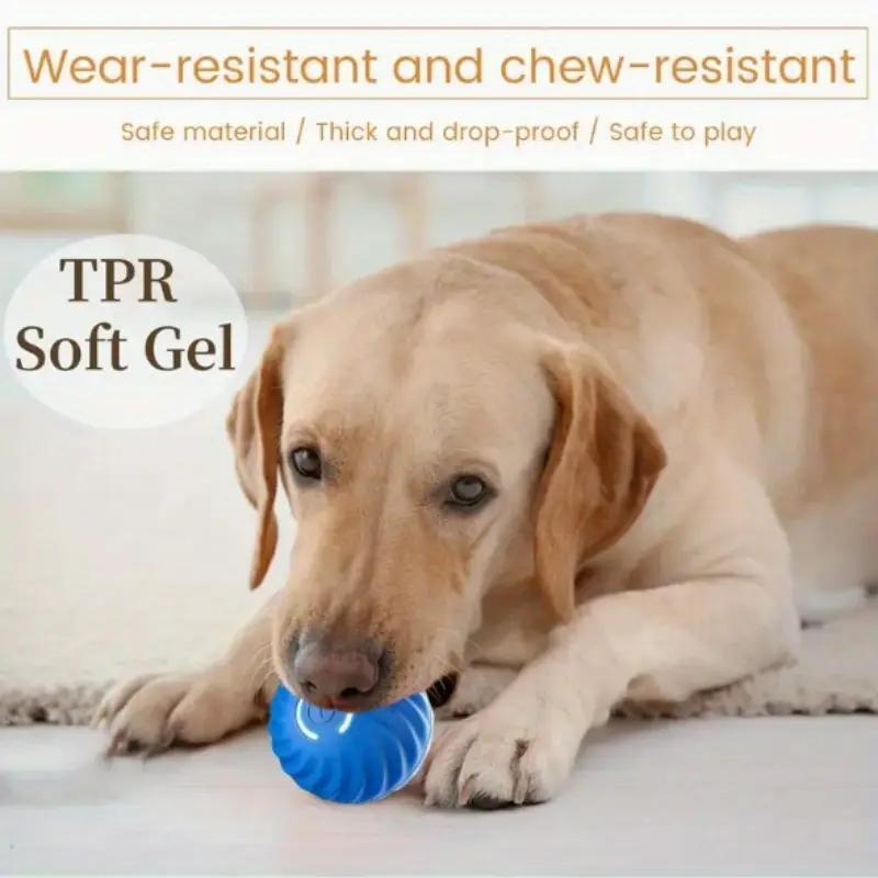 Bouncing Ball for dogs and cats