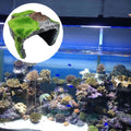 Simulate Moss Rock Stone For Aquariums and Reptile Hiding Spot
