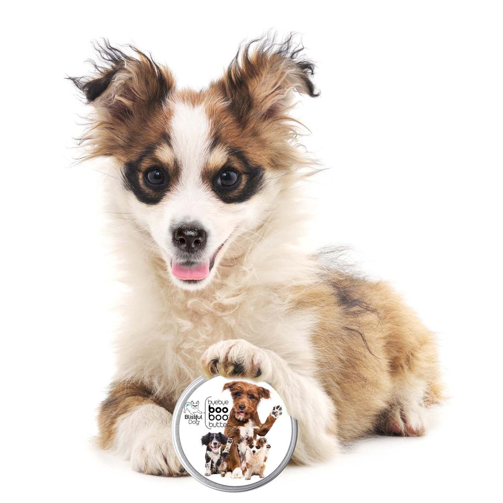 3 Cute Puppies Boo Boo Butter by The Blissful Dog