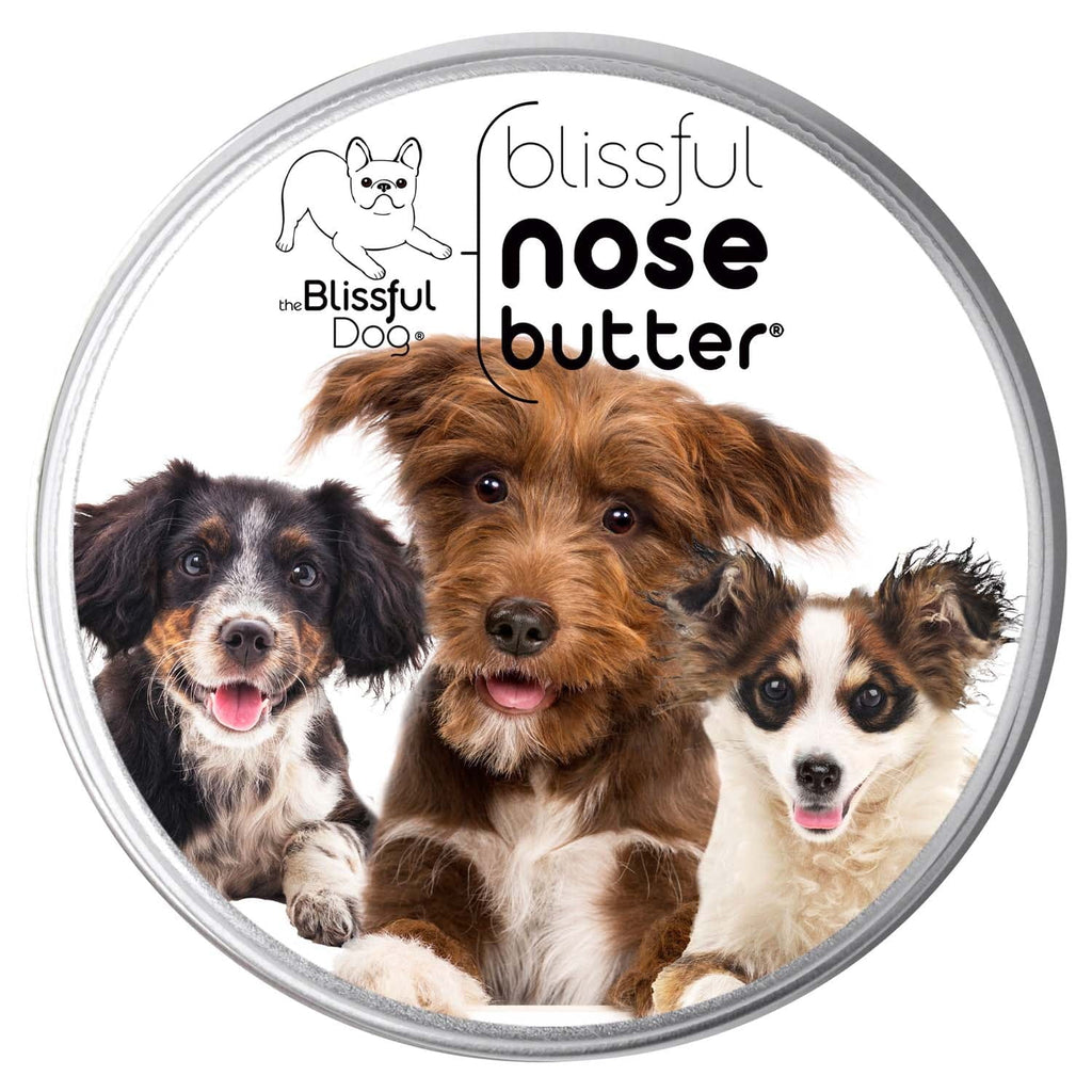 3 Cute Puppies Nose Butter by The Blissful Dog