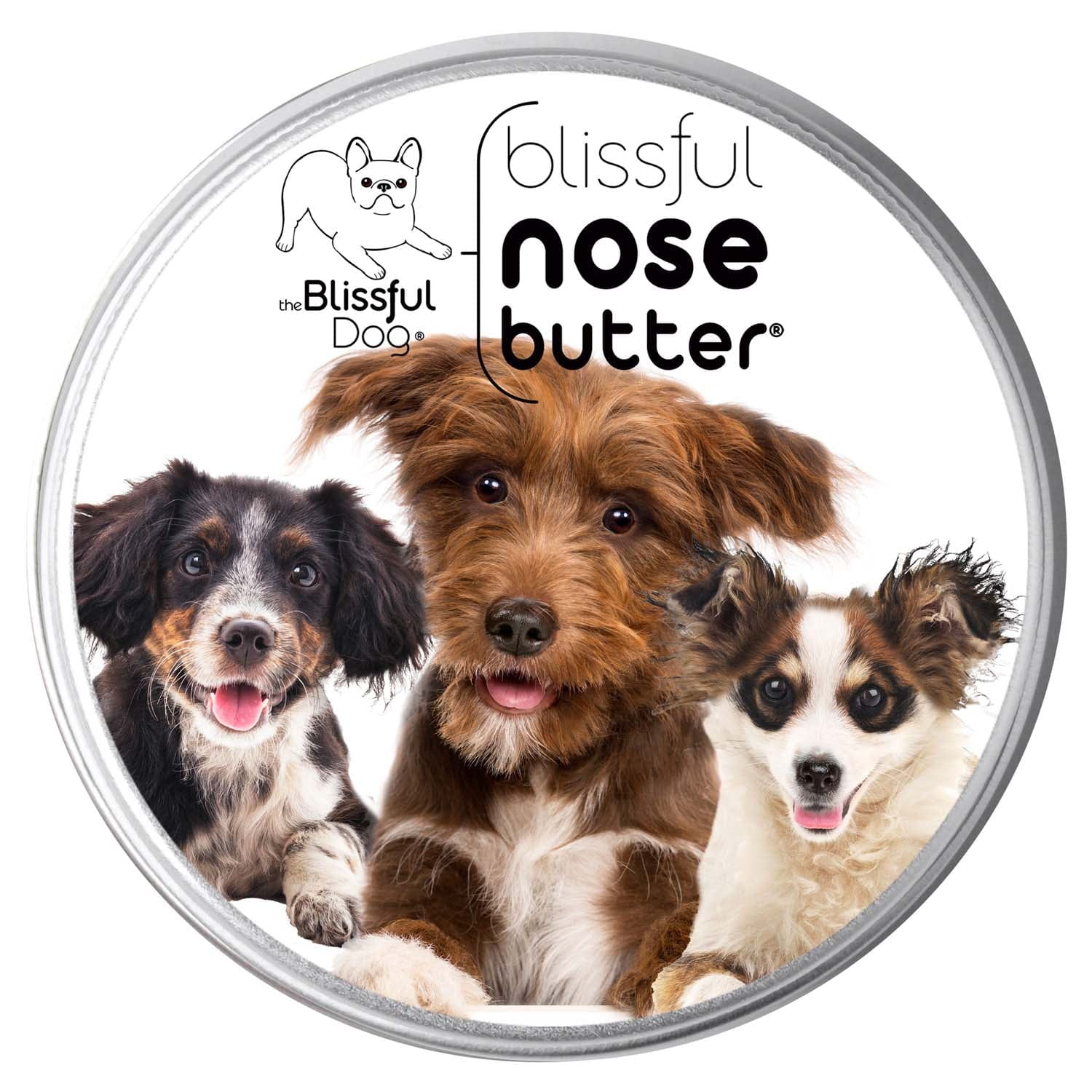 3 Cute Puppies Nose Butter by The Blissful Dog