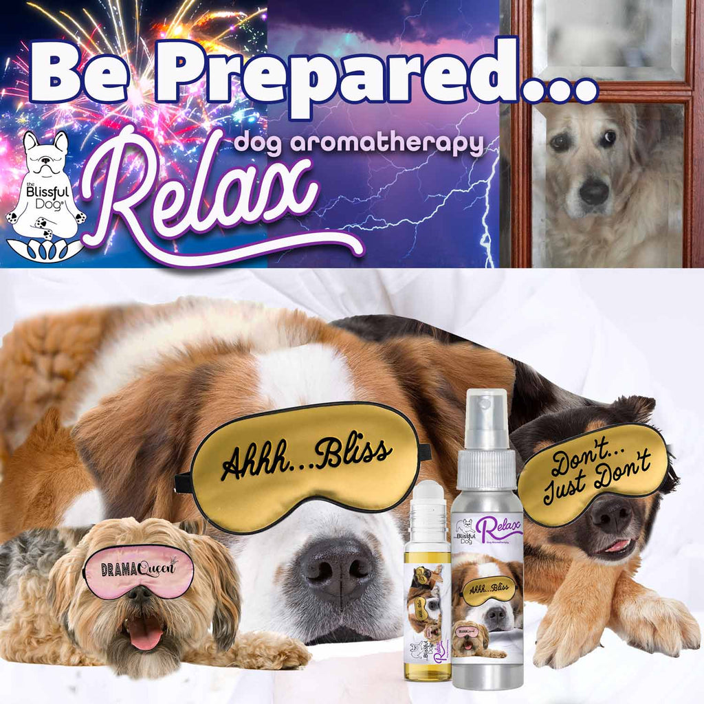 3 Cute Puppies Relax Dog Aromatherapy by The Blissful Dog