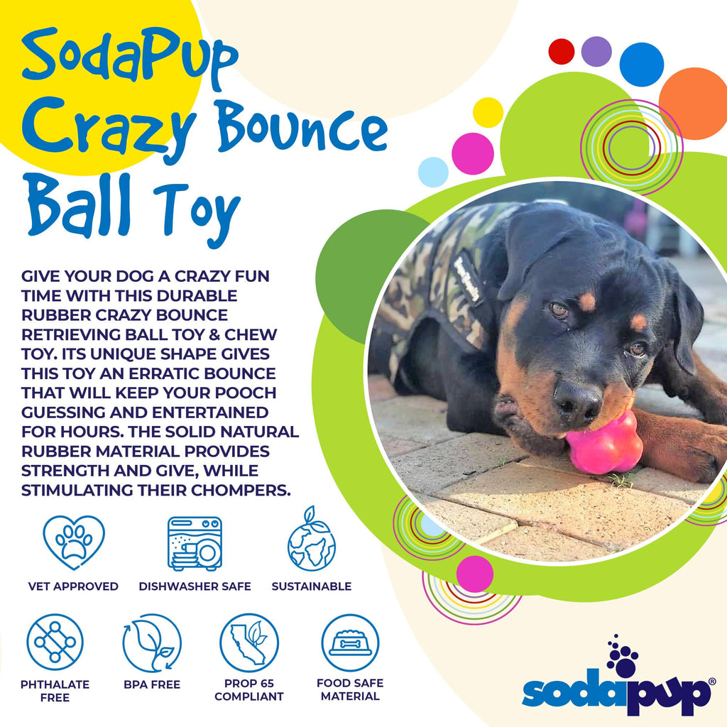 Crazy Bounce Rubber Dog Chew Toy for Power Chewers | Retrieving Ball | USA Made by SodaPup/True Dogs, LLC