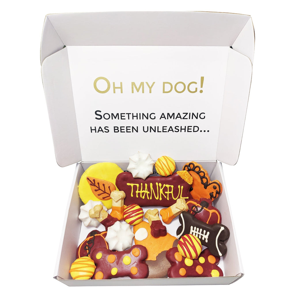 Thankful Themed Dog Treats Gift Box by Bonne et Filou