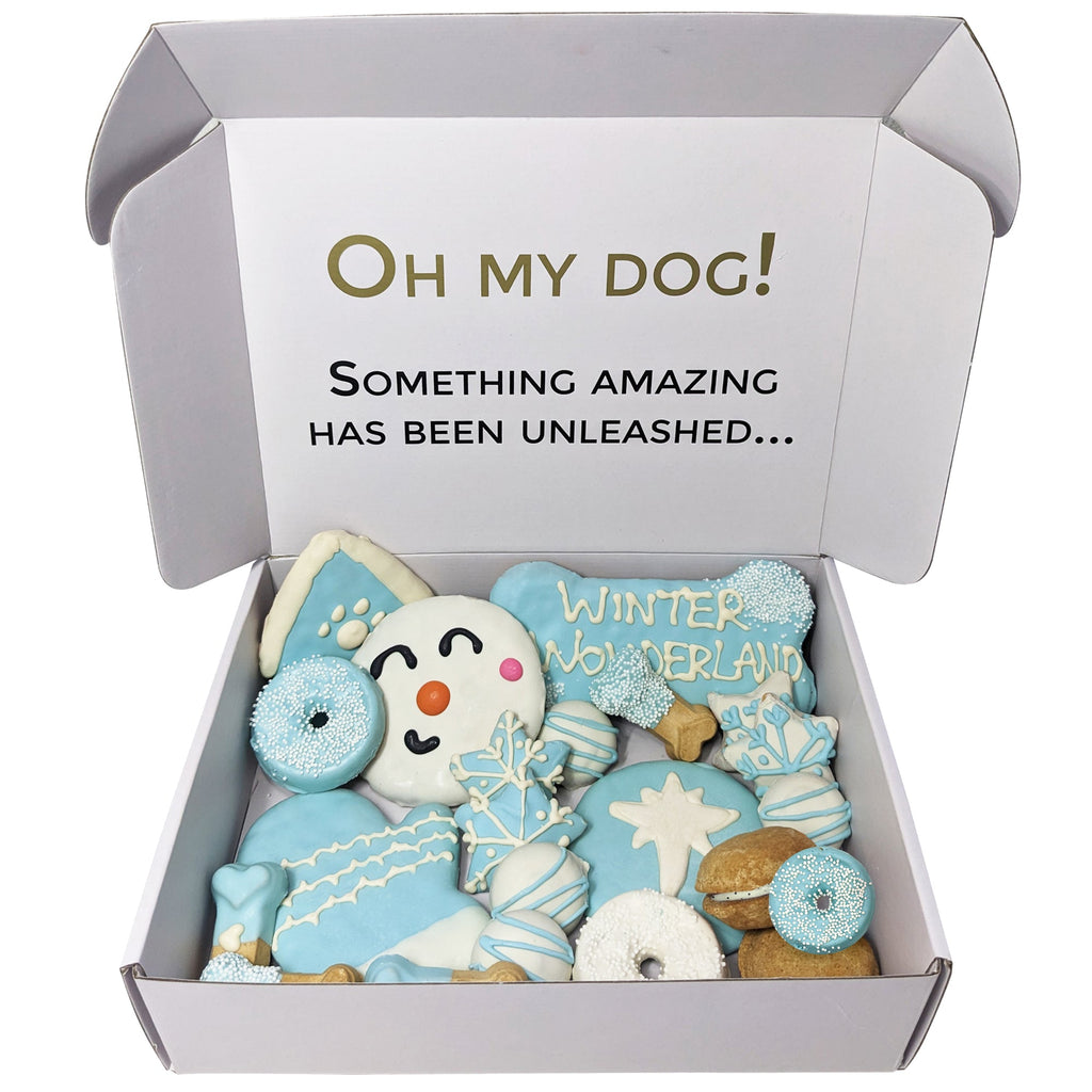 Winter Themed Dog Treats Gift Box by Bonne et Filou