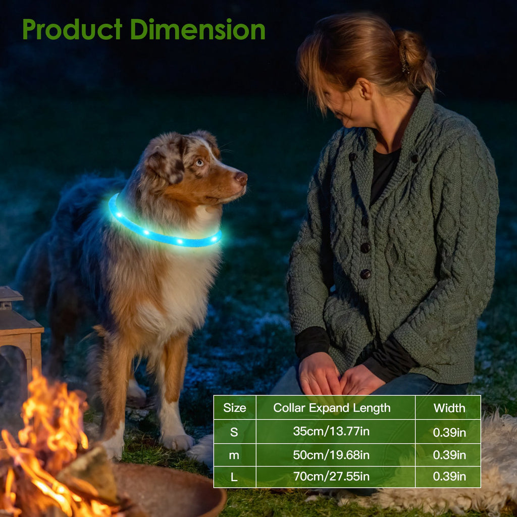 USB Rechargeable LED Dog Collar Multi Color by Amazing Pet Bargains