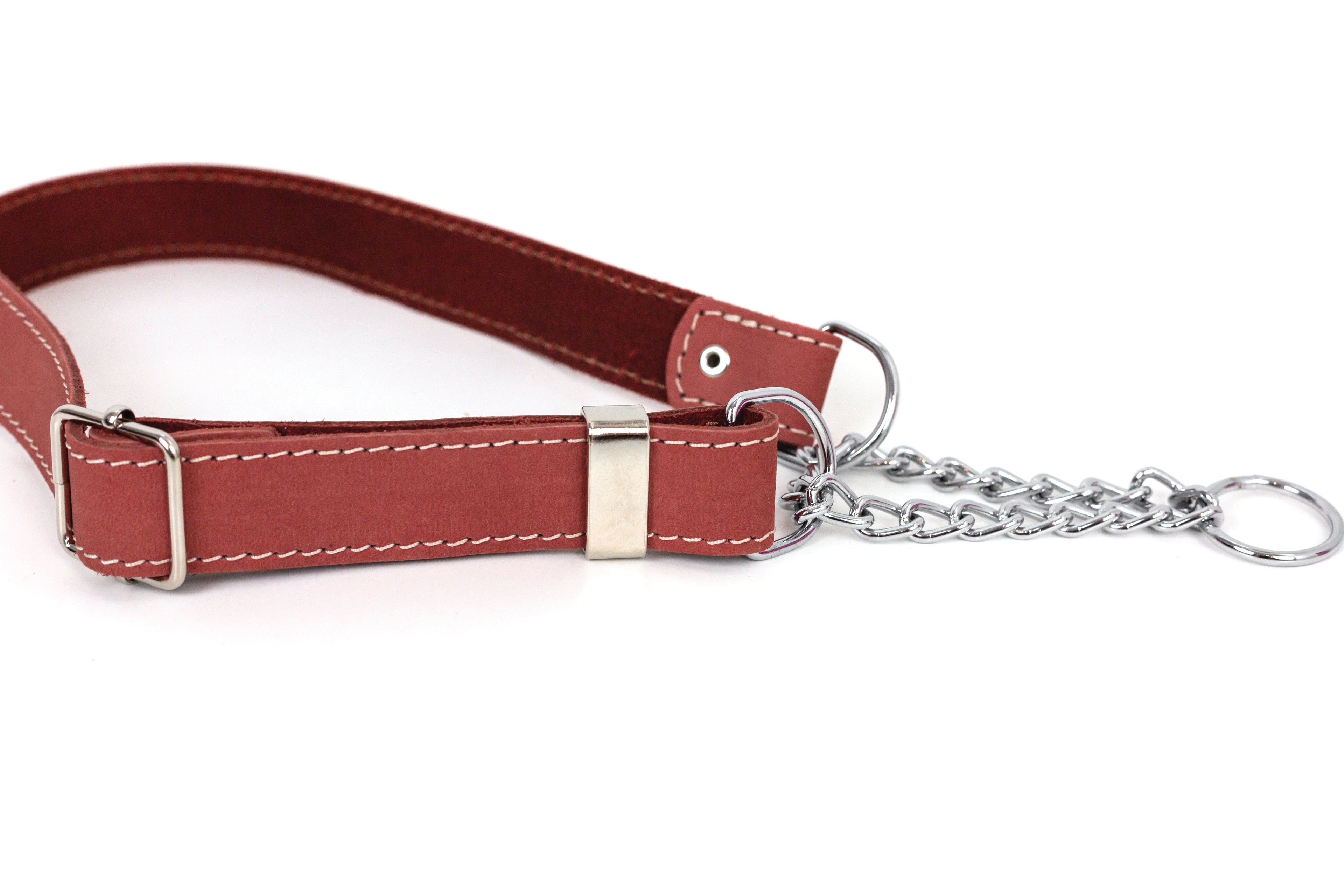 Martingale Coral Reef Leather Dog Collar by Euro-Dog Collars and Leads