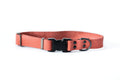 Sport Style Coral Reef Leather Dog Collar by Euro-Dog Collars and Leads