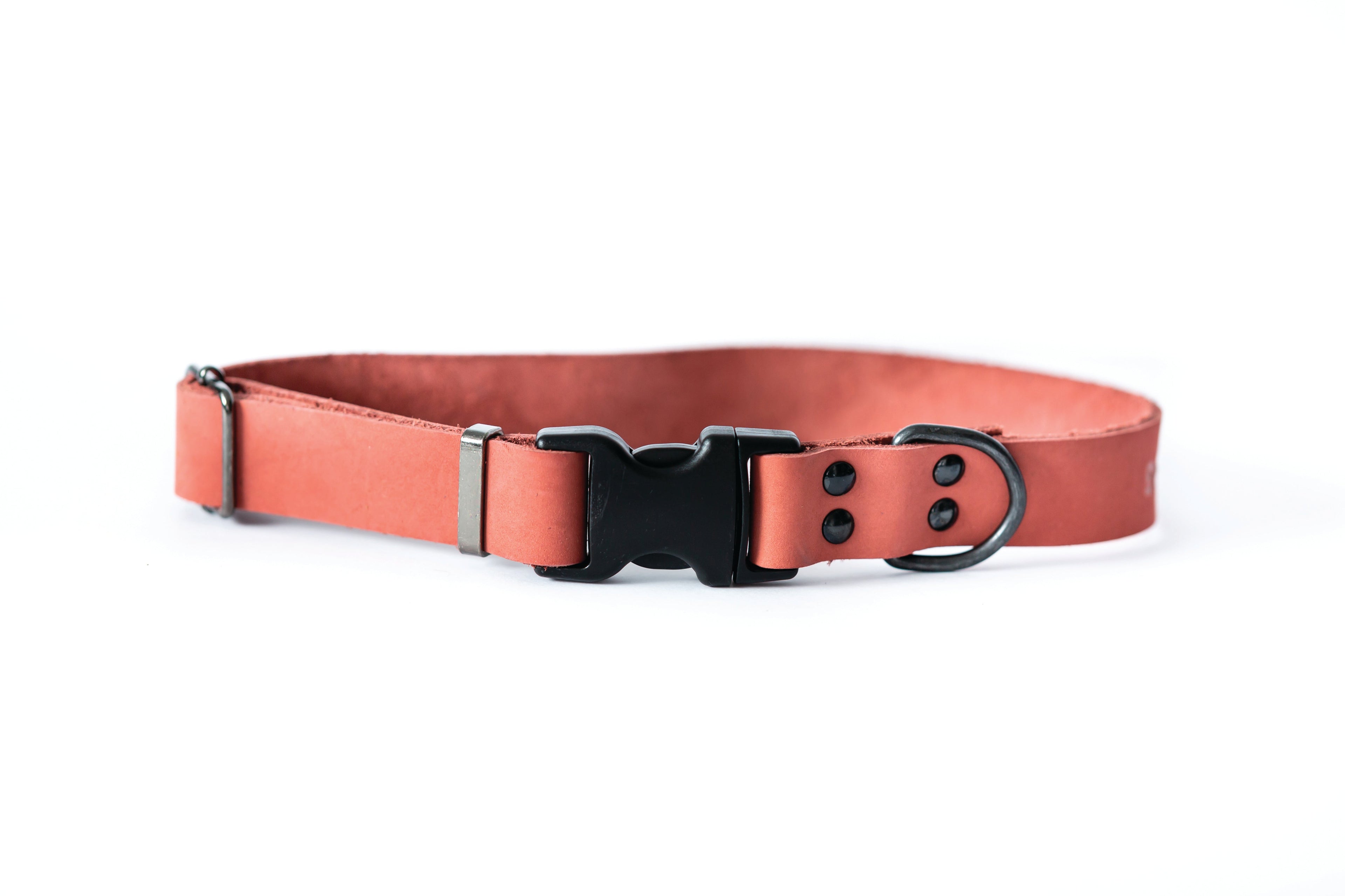Sport Style Coral Reef Leather Dog Collar by Euro-Dog Collars and Leads